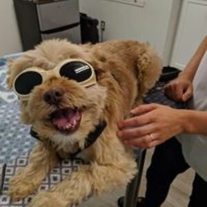 peppermint151 avatar