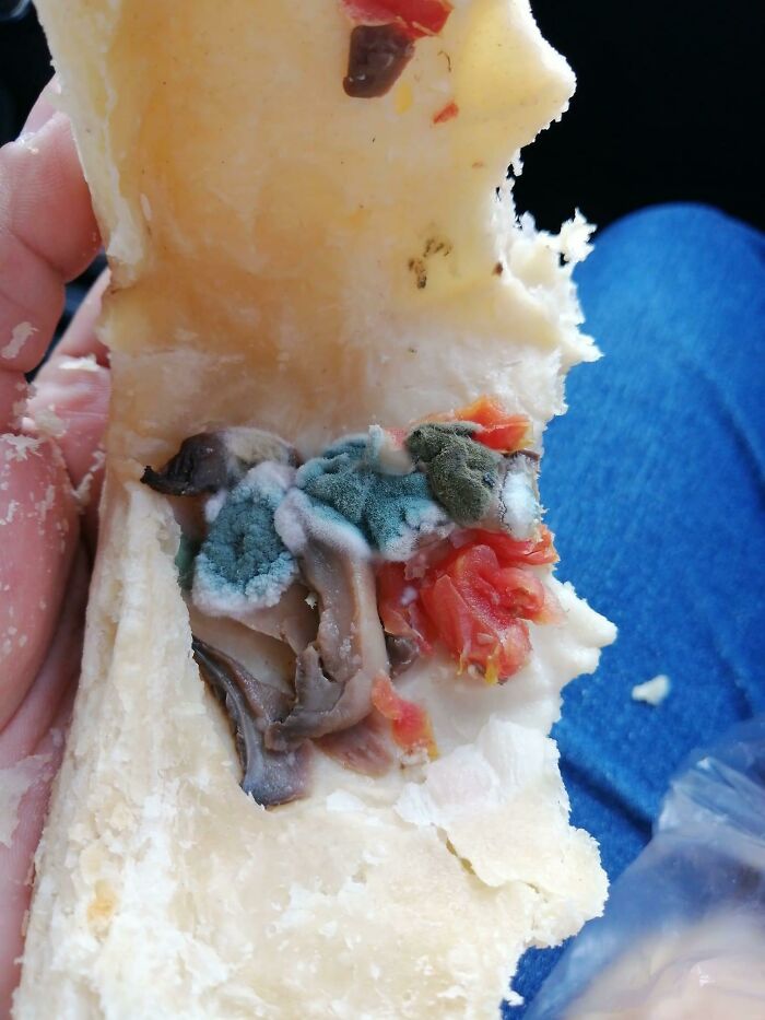 When You’re Enjoying A Bite To Eat And End Up Frantically Googling About Cordyceps