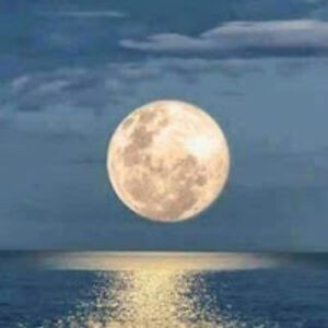 richardgriggs avatar