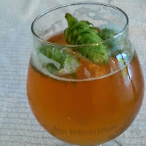 blaineschiess avatar