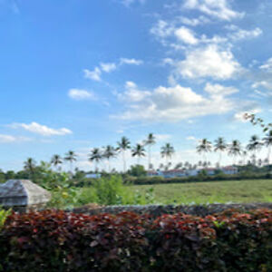 deekshatrivedi avatar