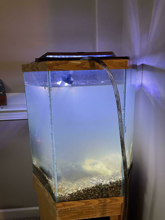 Parents Left For Vacation For A Week And Left The Neighbor’s Daughter In Charge Of Feeding Them