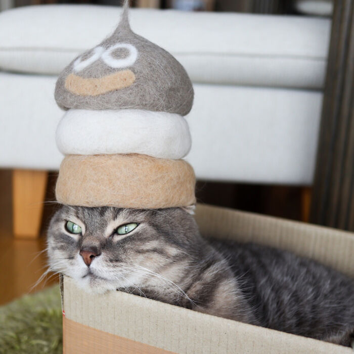 Cat wearing a tiny hat made by Umatan and Rojiman