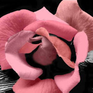 christinamckenna avatar