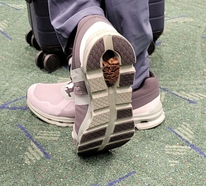 Pinecone Sole, Extra Comfy