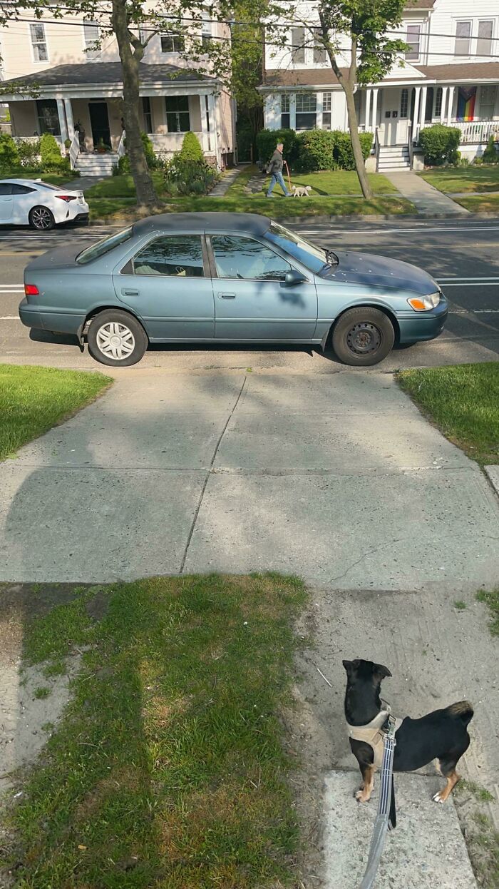 Couldn’t Get Out Of My Driveway This Morning. I Had The Car Towed And Now My Neighbor Is Mad