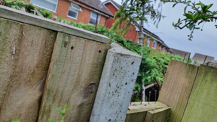 Neighbor Put Nails Into My Cat's Favorite Spot To Sit On The Fence