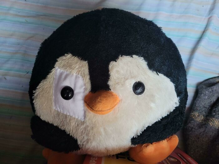 Victim Of A Dog Attack Gets Reconstructive Surgery