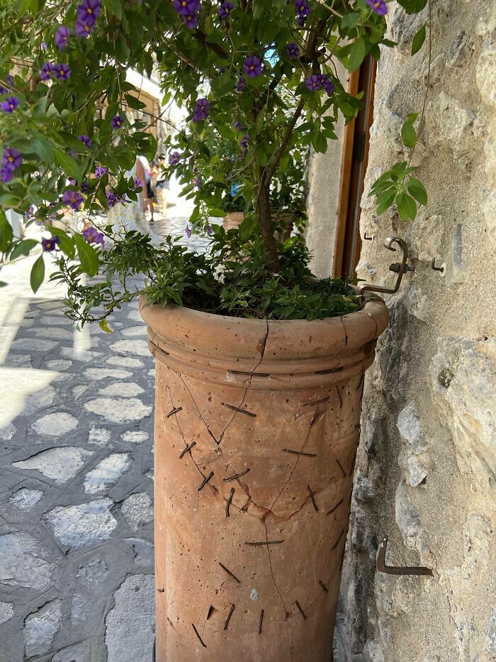 A Planter In Ravello, Italy