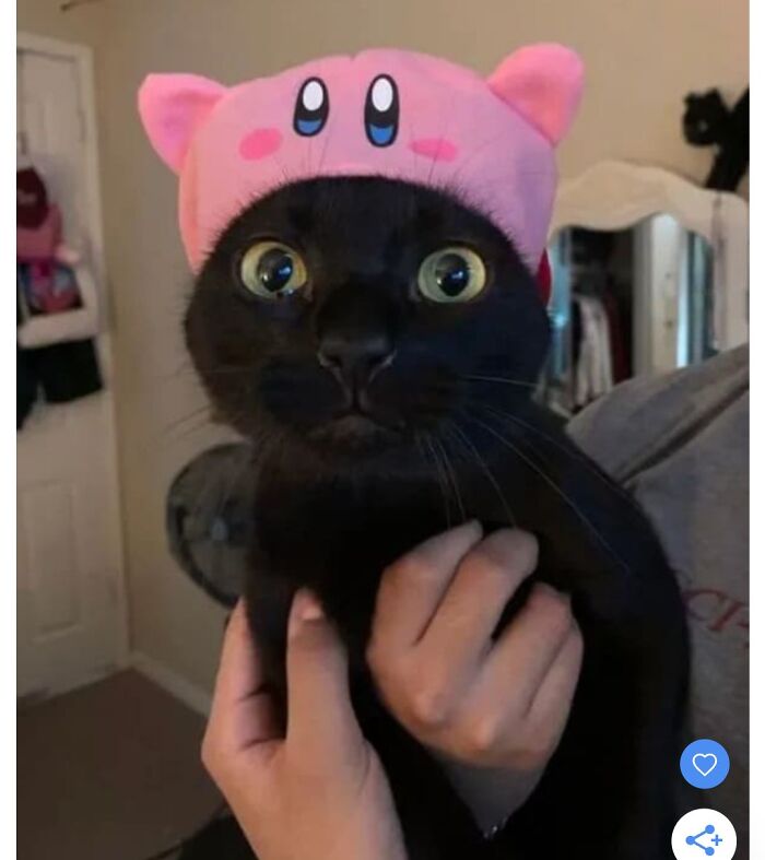 Ok Yes It's A Screenshot But Look At Him