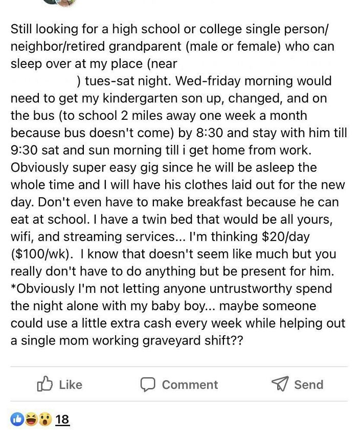 Local Fb Group Mom Wants To Pay $100 A Week For Babysitting Overnight And Getting Child To School