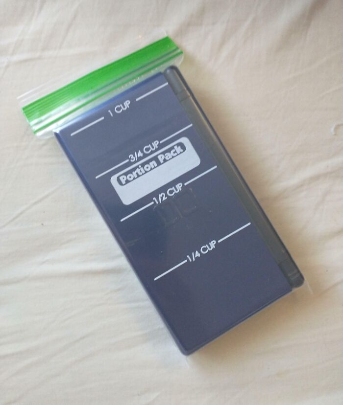 A Nintendo DS Lite In A Snack Bag