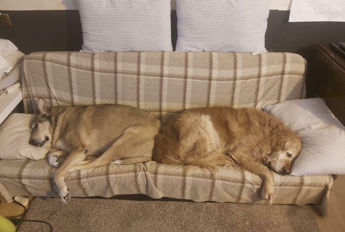 Doesn't Get Much Better Than This