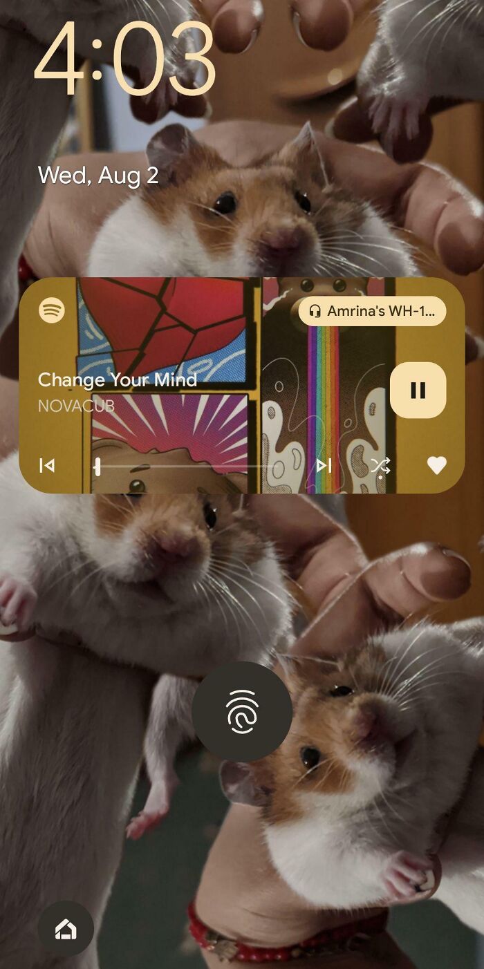 Album Art And My Hamster Wallpaper