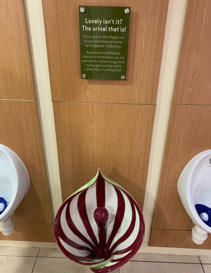 This Plant Replica Urinal