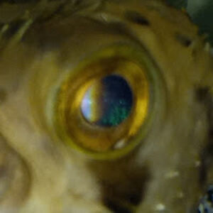 noneyabusiness_2 avatar