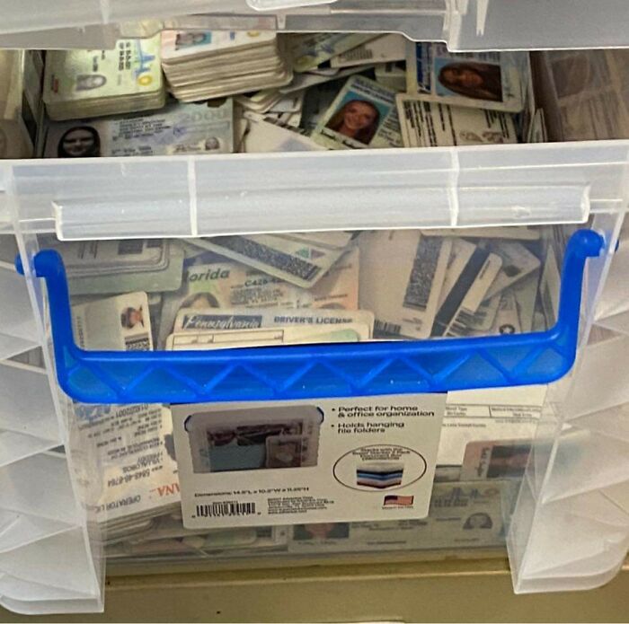 Fake Ids Confiscated In A College Town