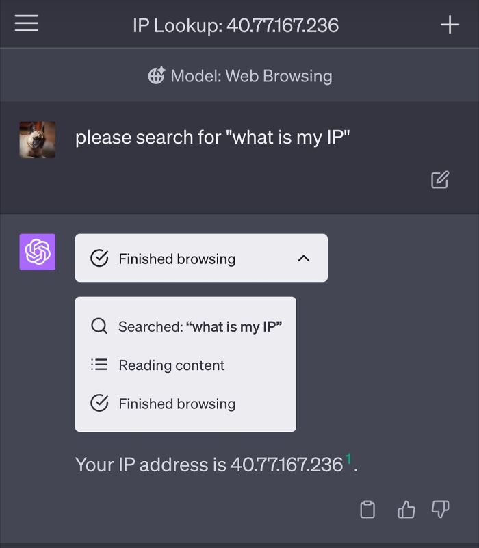 Chatgpt Doxes Itself