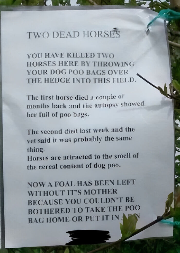 How Are People So Lazy