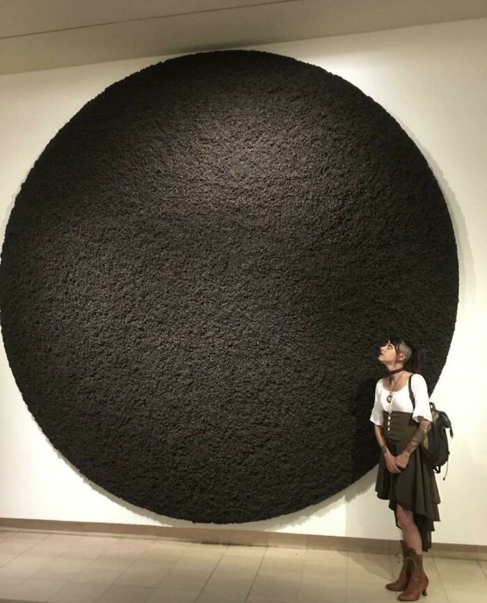 This Art Installation Made Of 1000’s Of Dead Flies