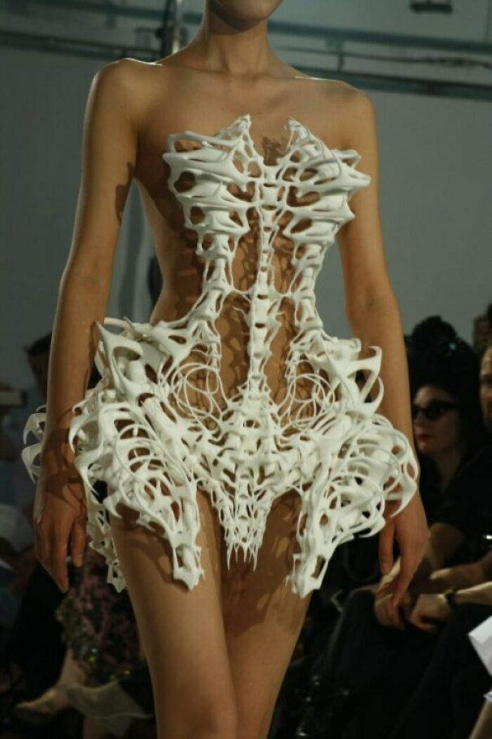 Presenting The Skeletal Dress