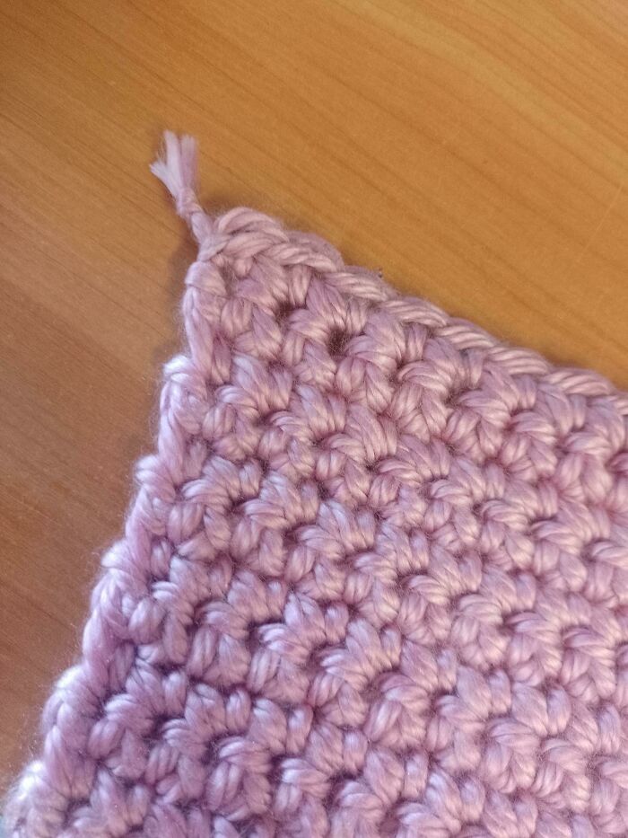 I Won The Yarn Chicken