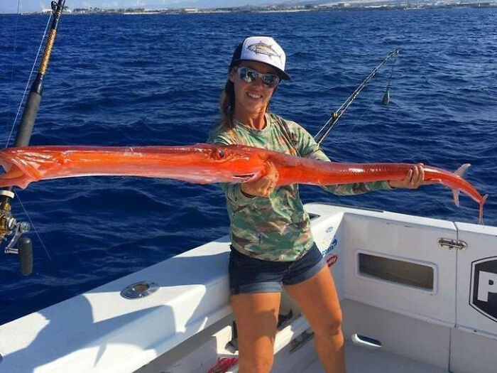Red Cornetfish