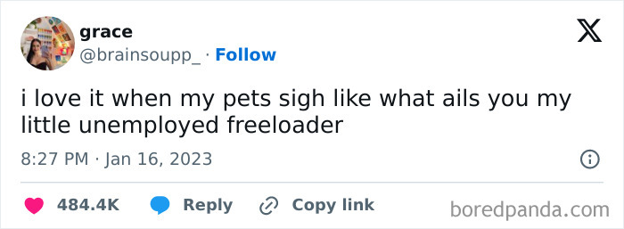 Savage-Rare-Insults-Twitter