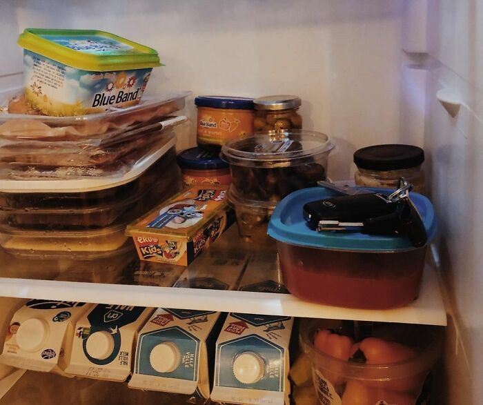 You Currently Have 2 Brains In Your Body, And That Doesn't Help Either. The Struggle Is Real