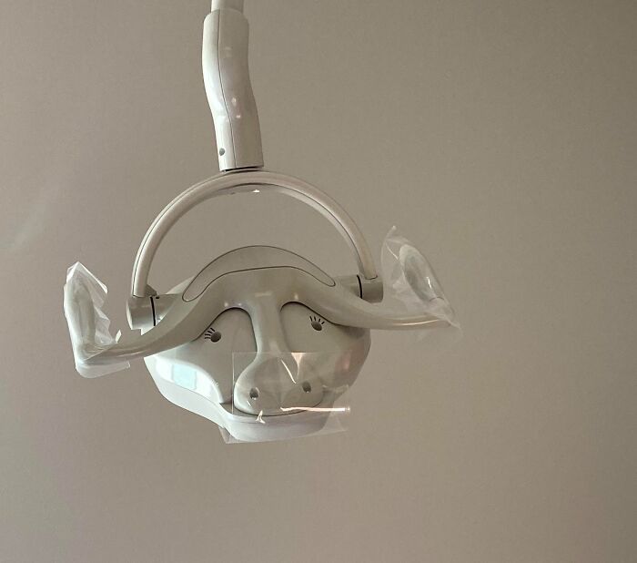 This Cow In My Dentist's Office