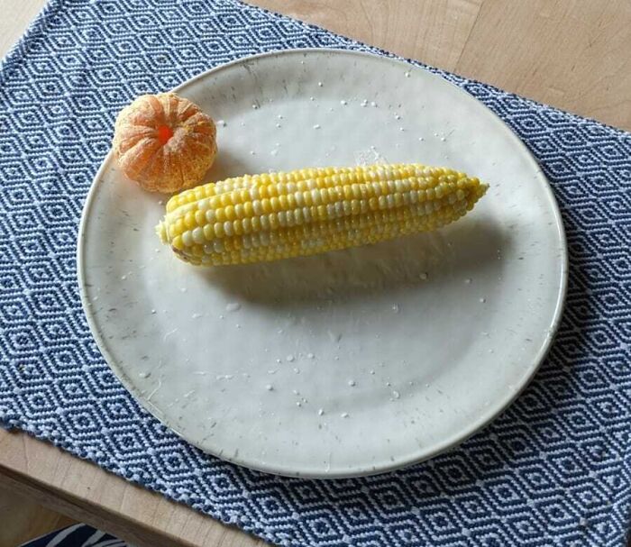 My Very Nauseous Pregnant Wife's Dinner. Finding Food She Can Digest (Or Even Think About) Has Been A Struggle