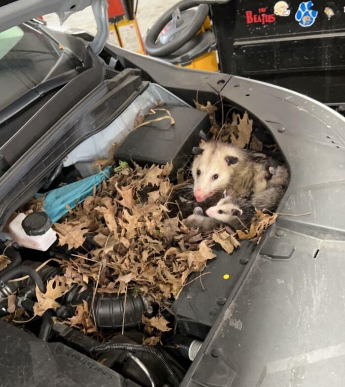 Customer States ABS/ESC And Front Radar Lights On