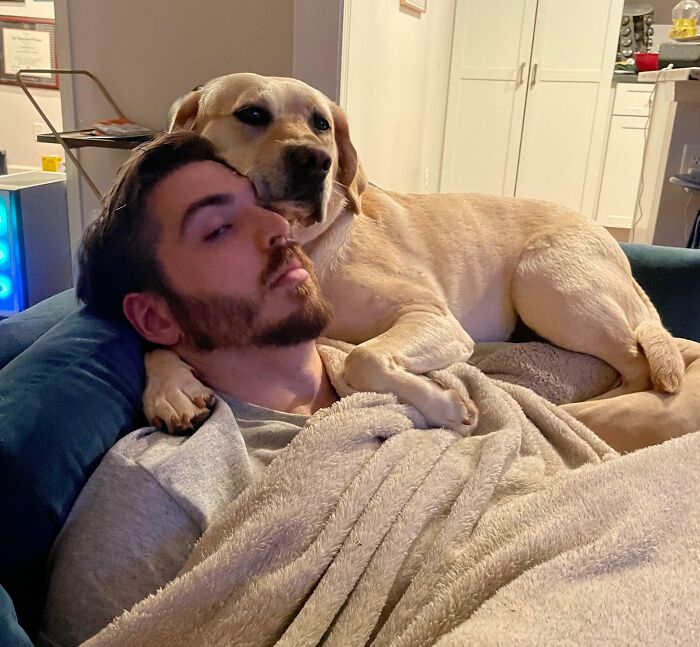 Joule Has No Concept Of Personal Space