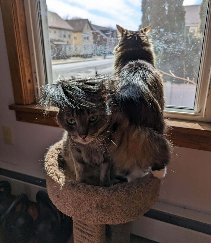 Abigail Likes Her Personal Space, Her Brother's Also