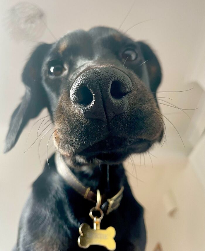 Personal Space? Never Heard Of That