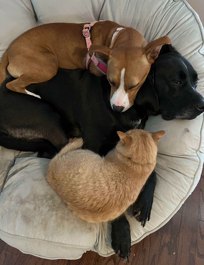 No Respect For Personal Space