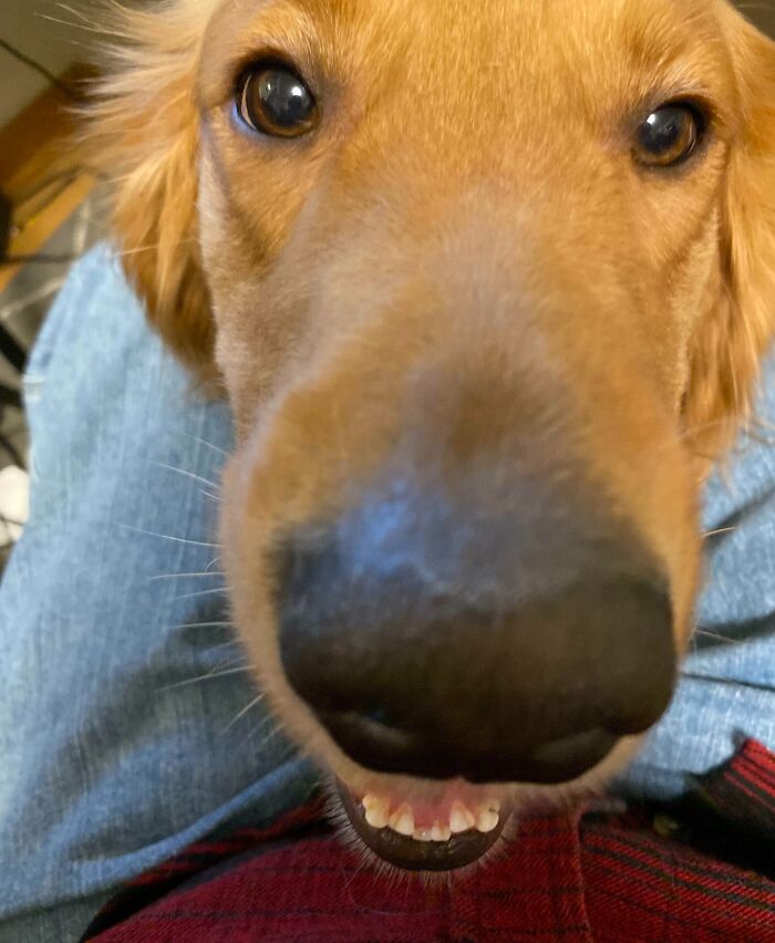 Kevin Has Zero Concept Of Personal Space