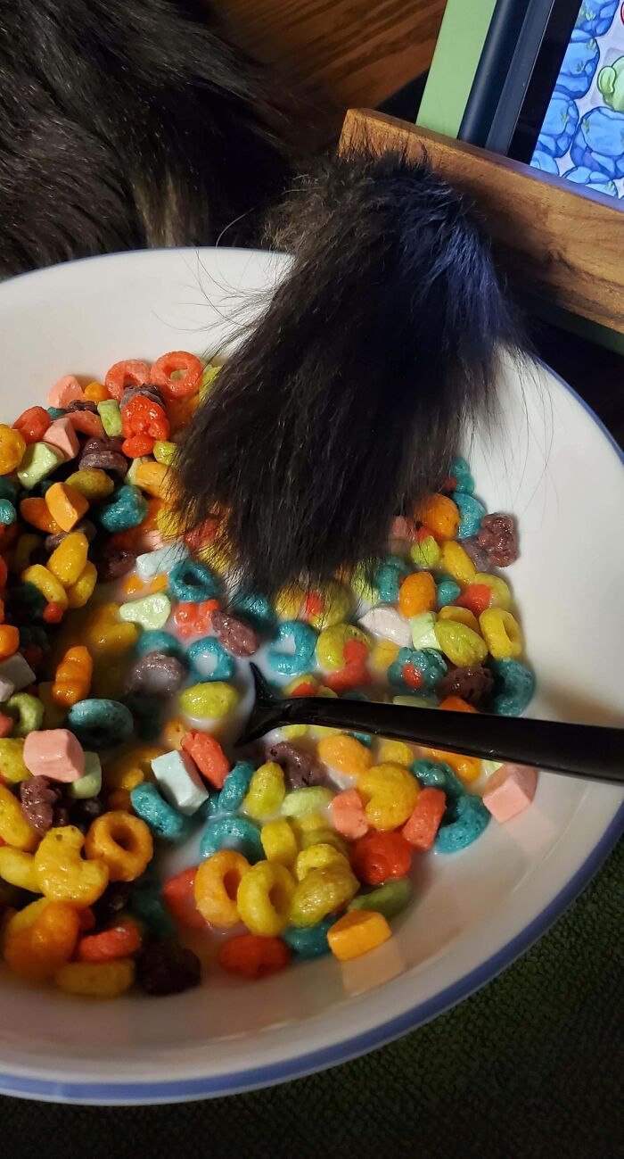 Dame Just Doesn't Give A Damn About Personal Space