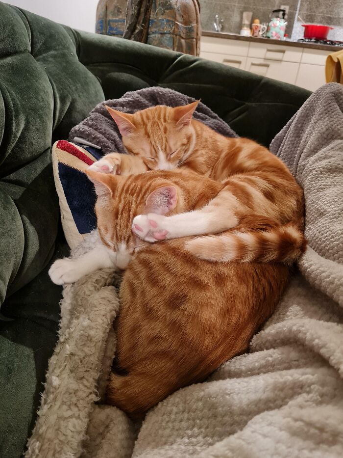 Personal Space Is A Myth