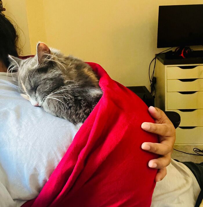 I Have A Very Clingy Cat And I’m Working From Home. This Baby Sling Helps Us Both