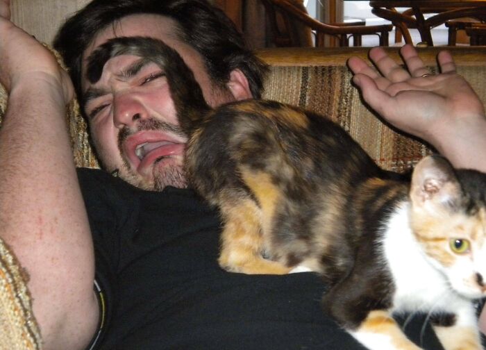 Horrified Stinky-Kitty-Butt Face