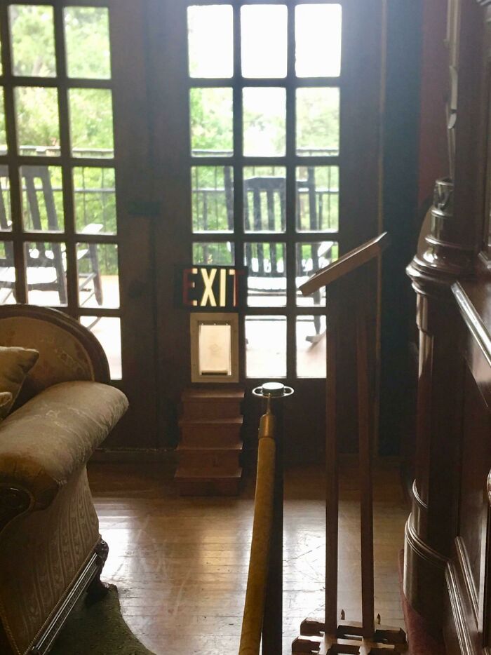 Honorary Manager Of Crescent Hotel In Eureka Springs Is Cat, And This Is His Door