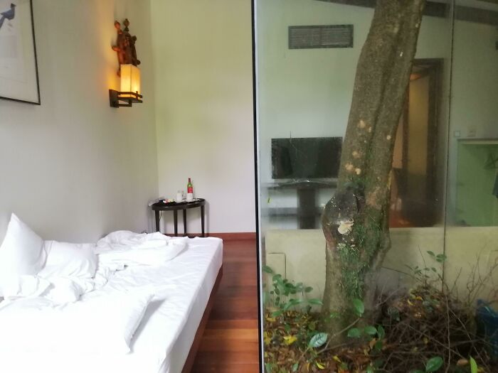 The Hotel I Was Staying In Had A Tree In The Middle Of The Room