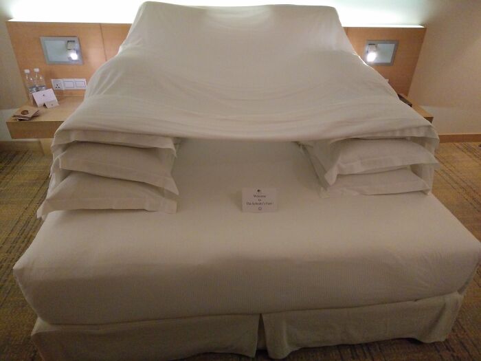 Requested A Pillow Fort, Hotel Delivers