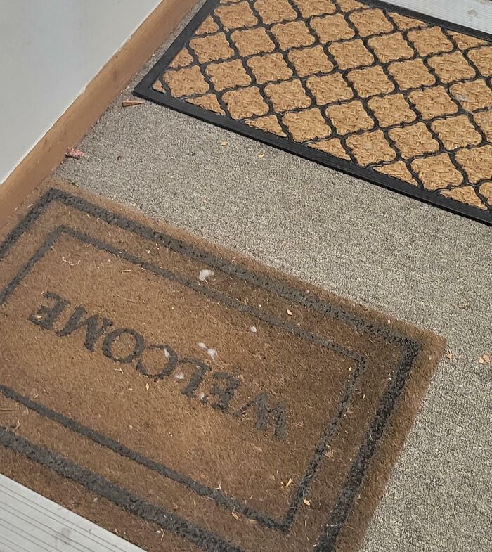 I Heard My Neighbor Wiping His Feet On My Doormat, So I Placed An Extra One In Front Of His Door As A Statement Of Assertive Communication