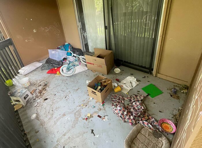 My Neighbor’s Patio That I Can Smell From My Patio. I Don’t Have Words For The Smell