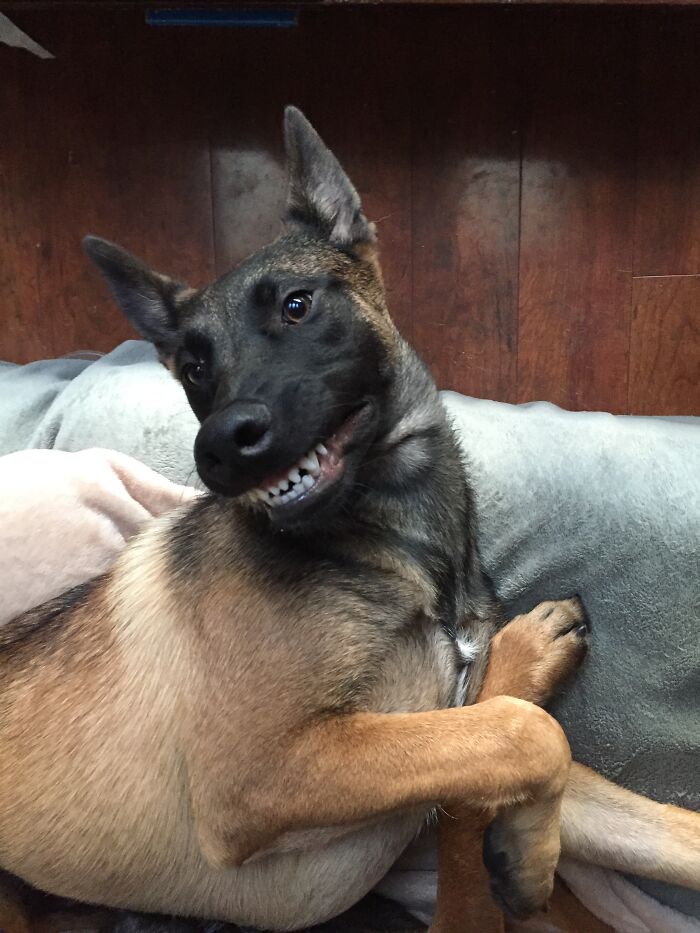 Not Sure What Echo Is Thinking