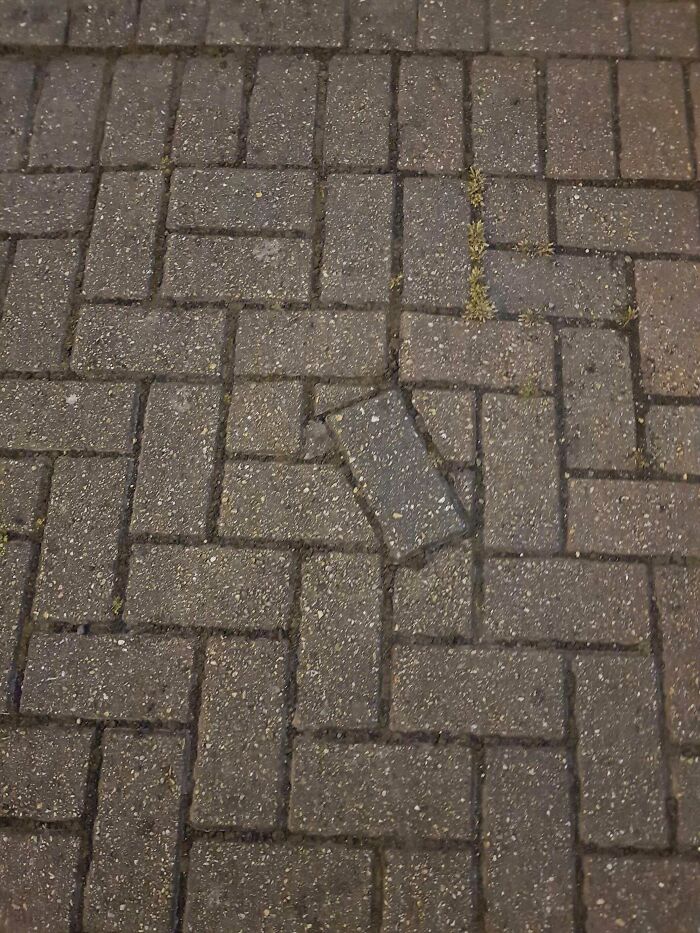 911 - I'd Like To Report A Crime