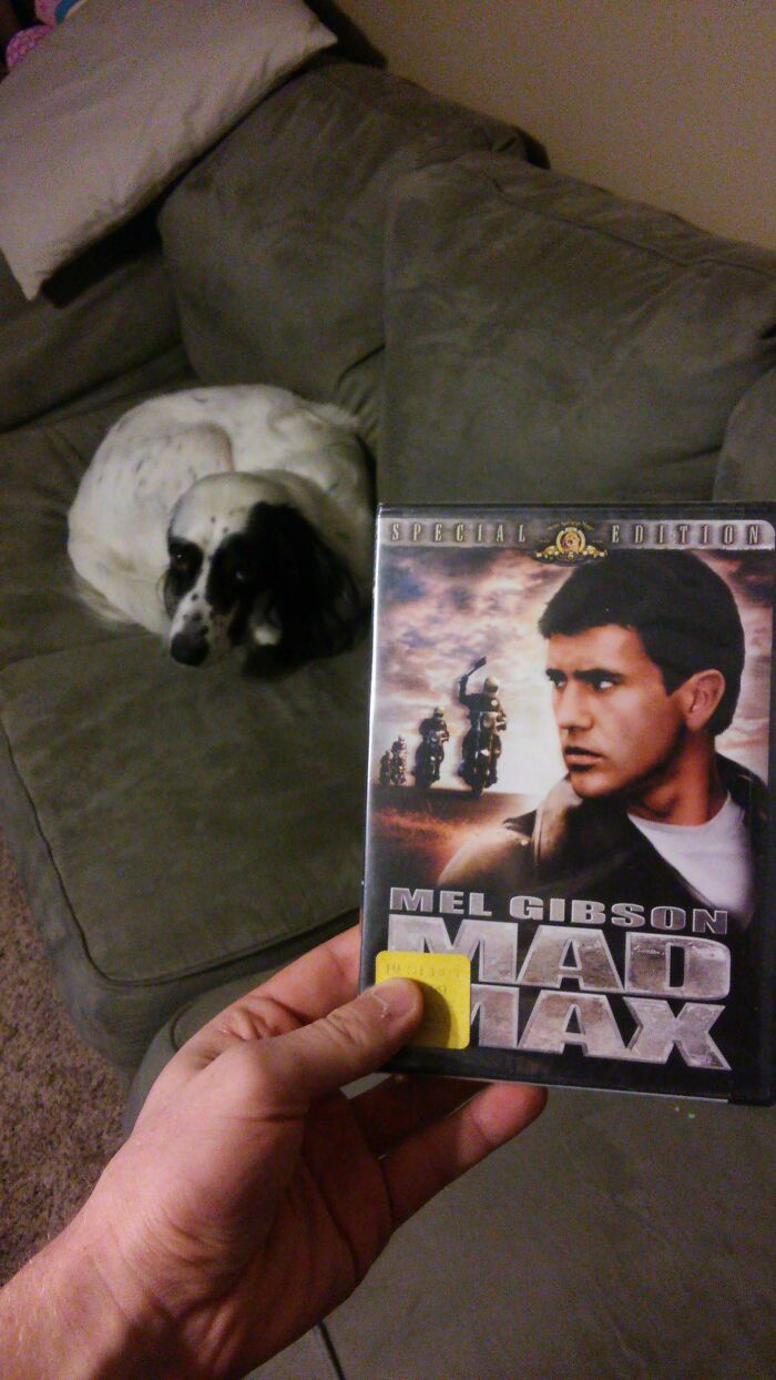 Grandma Said She Got Me "That Mad Max Movie Everyone Is Talking About"