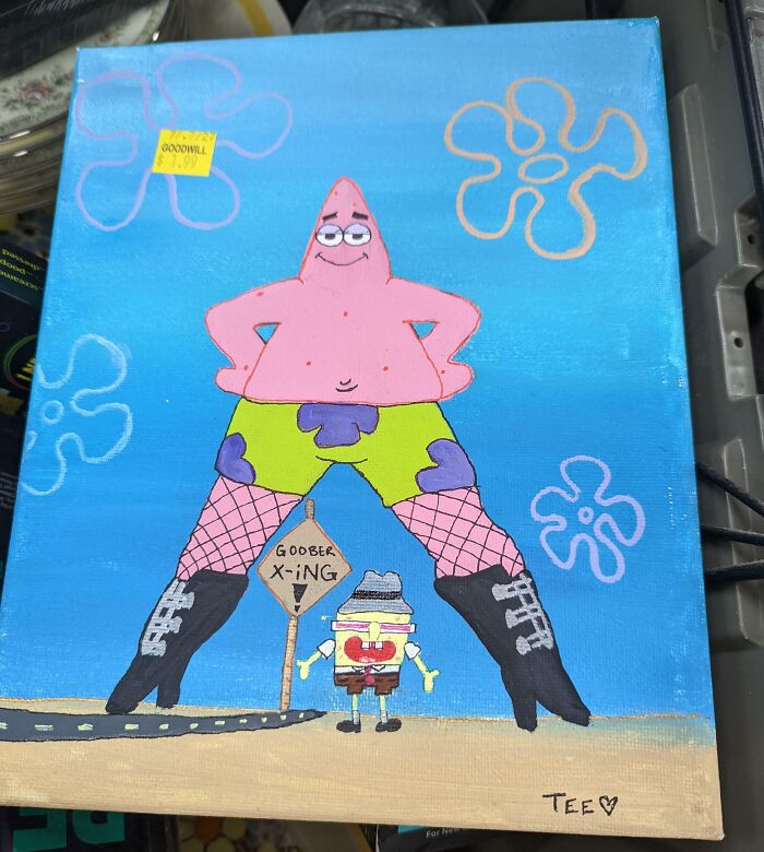 Not What I Expected To Find At Goodwill